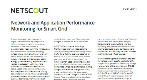 Network and Application Performance Monitoring for Smart Grid